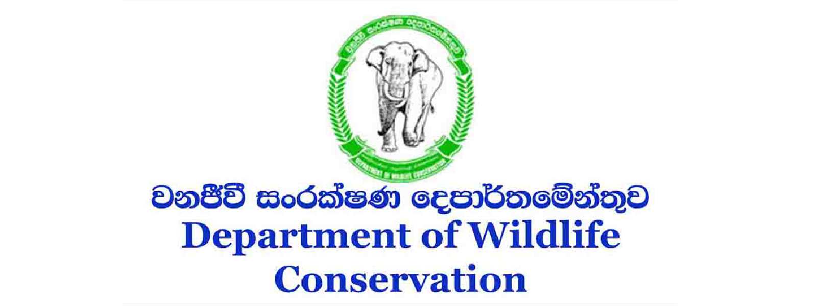 වනෝද්‍යානවල සතුන්ගේ පරිභෝජනයට ජල පිරවුම්..